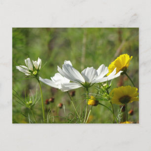 Vita och Gult Vild Blommor DIY-vykort Vykort