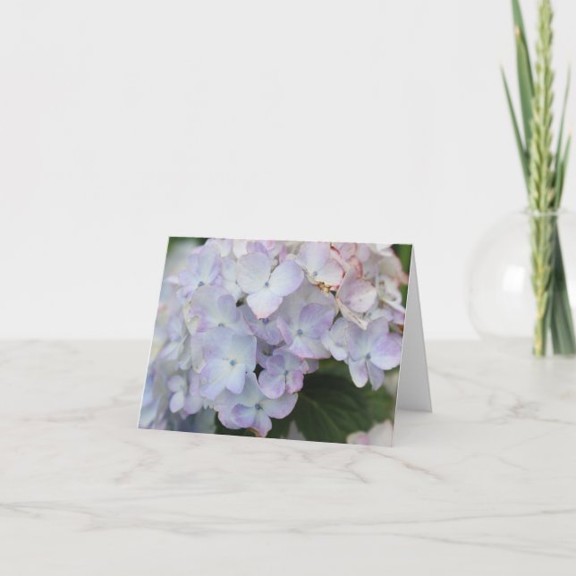 Vita och lila HYDRANGEA Blomster Högtidskort Helgkort (Framsida)