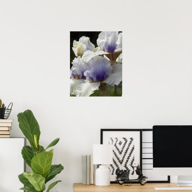 Vita och lila irisblommor Blommande Poster (Hemmakontoret)