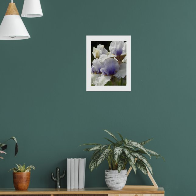 Vita och lila irisblommor Blommande Poster (Vardagsrum 1)