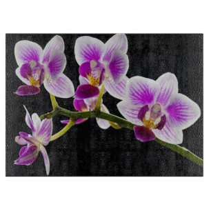 Vita och lila orchid-skärskivor
