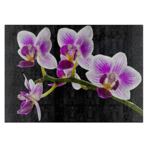 Vita och lila orchid-skärskivor