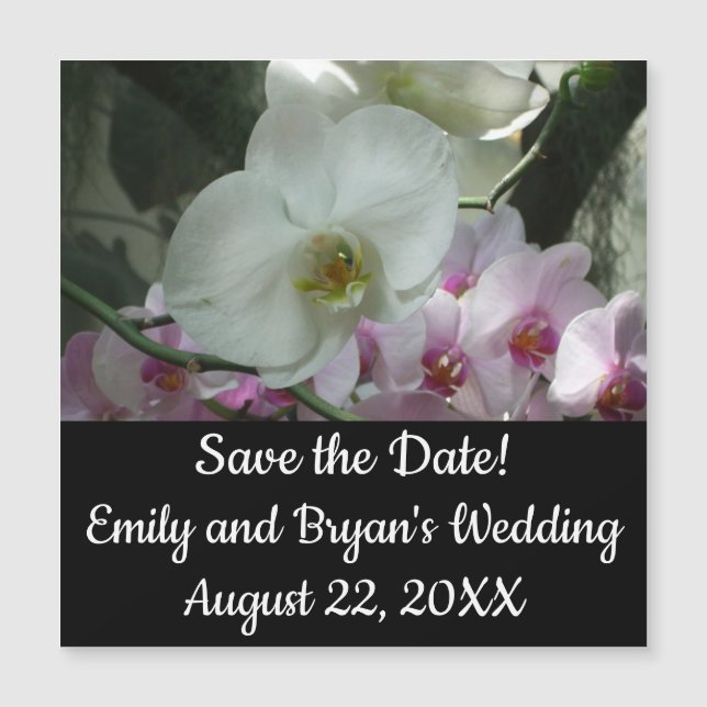 Vita och Lila Orchids (Framsida)