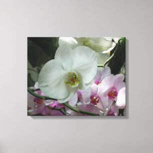 Vita och Lila Orchids Canvastryck