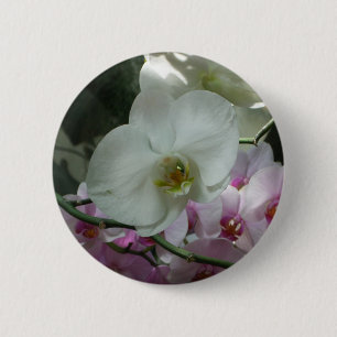 Vita och Lila Orchids Knapp