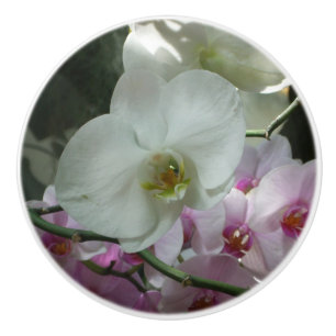 Vita och Lila Orchids Knopp