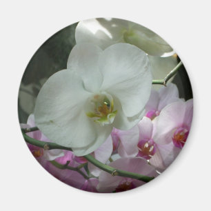 Vita och Lila Orchids Magnet