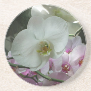 Vita och Lila Orchids Underlägg