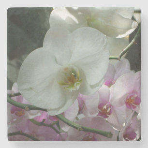 Vita och Lila Orchids Underlägg Sten