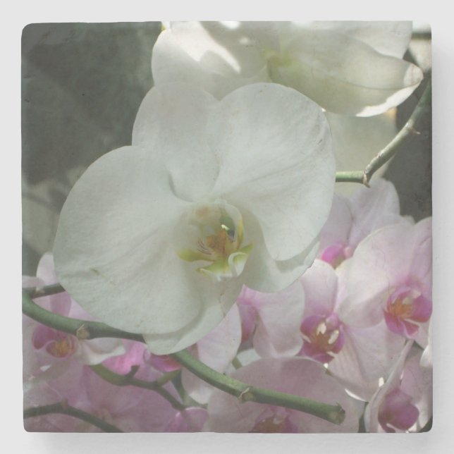 Vita och Lila Orchids Underlägg Sten (Framsidan)