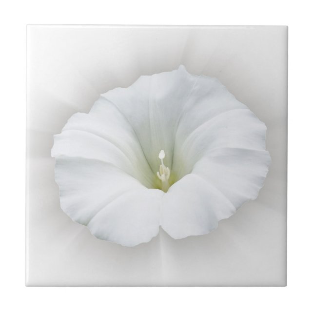 vita och nyanser av grått kakelplatta (Framsidan)