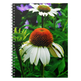 Vita och Orange ConeFlowers Anteckningsbok Med Spiral