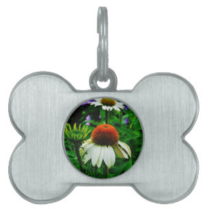 Vita och Orange ConeFlowers ID-bricka Husdjur