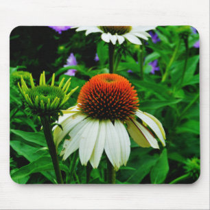 Vita och Orange ConeFlowers Musmatta