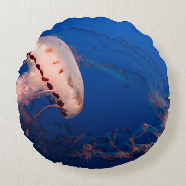 VITA OCH ORANGE JELLYFISH RUND KUDDE (Framsidan)