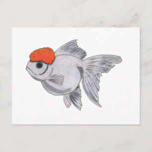 Vita och orange Oranda-guld fisk akvariefisk Vykort