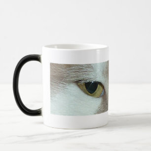 Vita och Orange Tabby katt Magisk Mugg