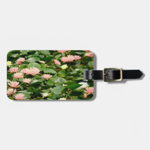 Vita och Peach Vatten Lilies i dammen Bagagebricka