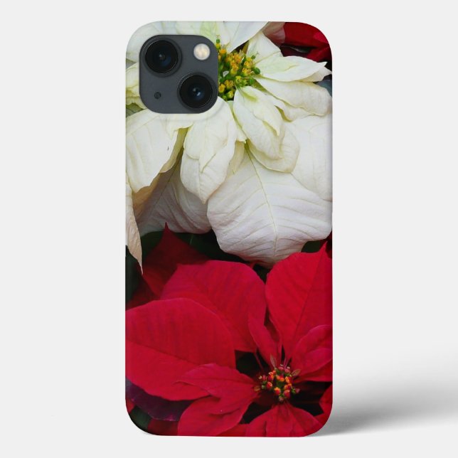 Vita och röda Poinsettias II Juldagen Helgdag (Baksida)