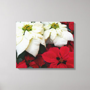 Vita och röda Poinsettias II Juldagen Helgdag Canvastryck