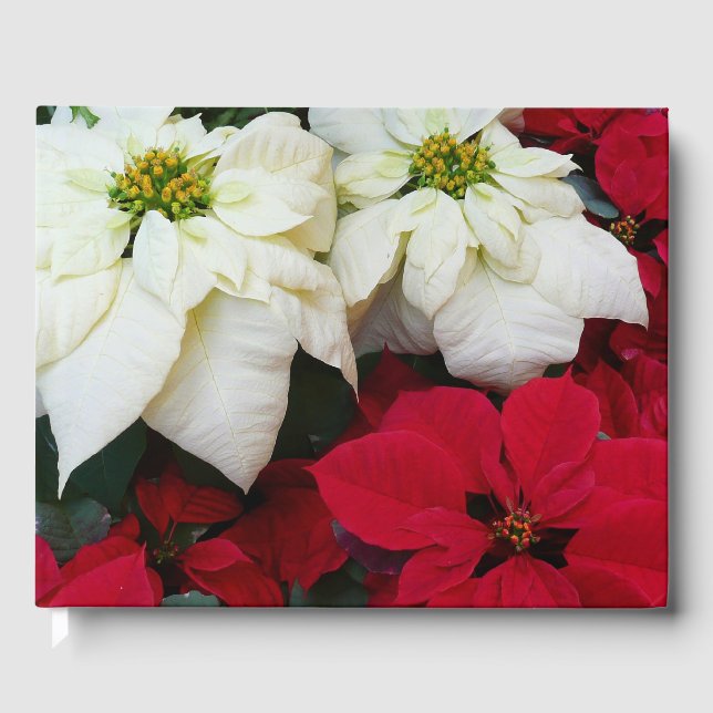Vita och röda Poinsettias II Juldagen Helgdag Gästböcker (Framsida)