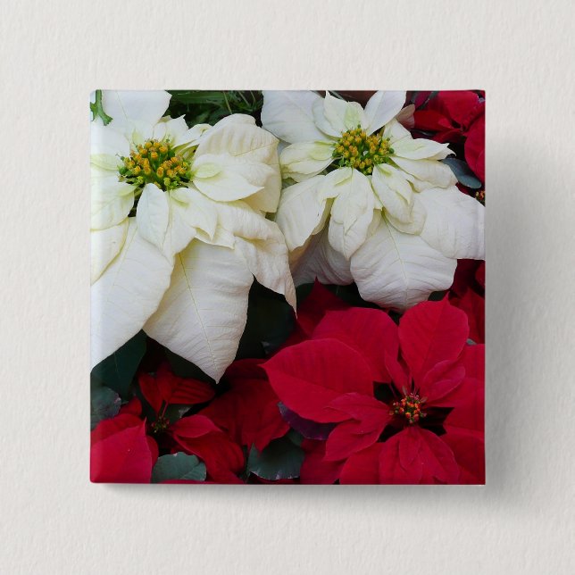 Vita och röda Poinsettias II Juldagen Helgdag Knapp (Framsida)