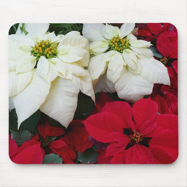 Vita och röda Poinsettias II Juldagen Helgdag Musmatta (Framsidan)