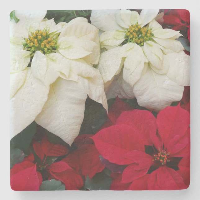 Vita och röda Poinsettias II Juldagen Helgdag Stenunderlägg (Framsidan)