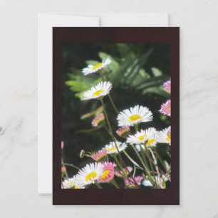 Vita och Rosa Blommor