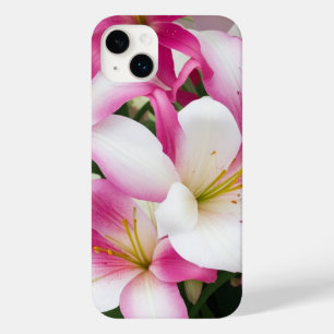 vita och rosa blommor