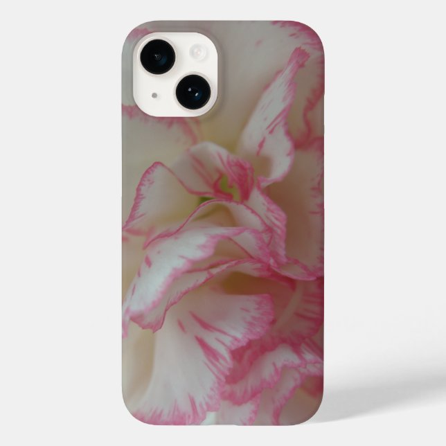 Vita och Rosa Carnation (Baksida)