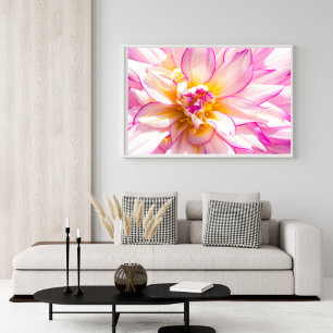 Vita och Rosa Dahlia Poster
