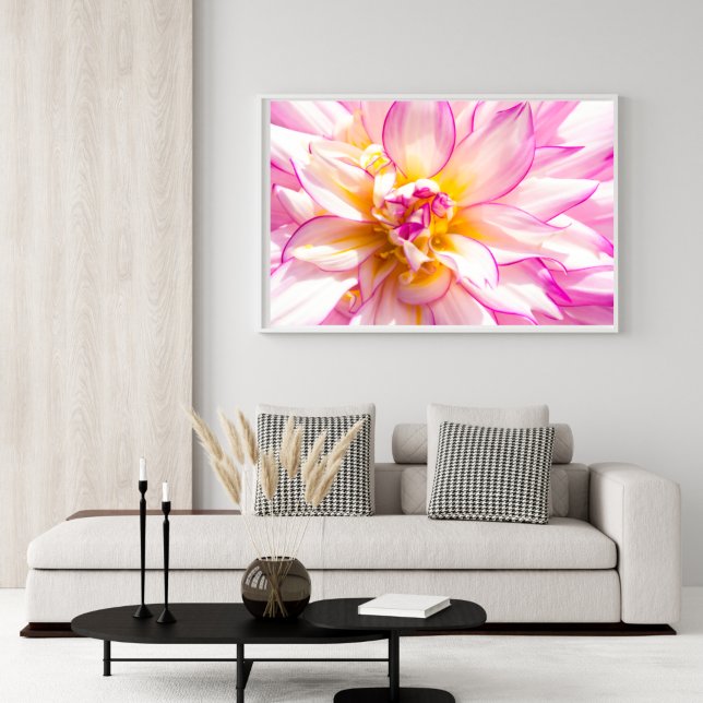 Vita och Rosa Dahlia Poster (Skapare uppladdad)