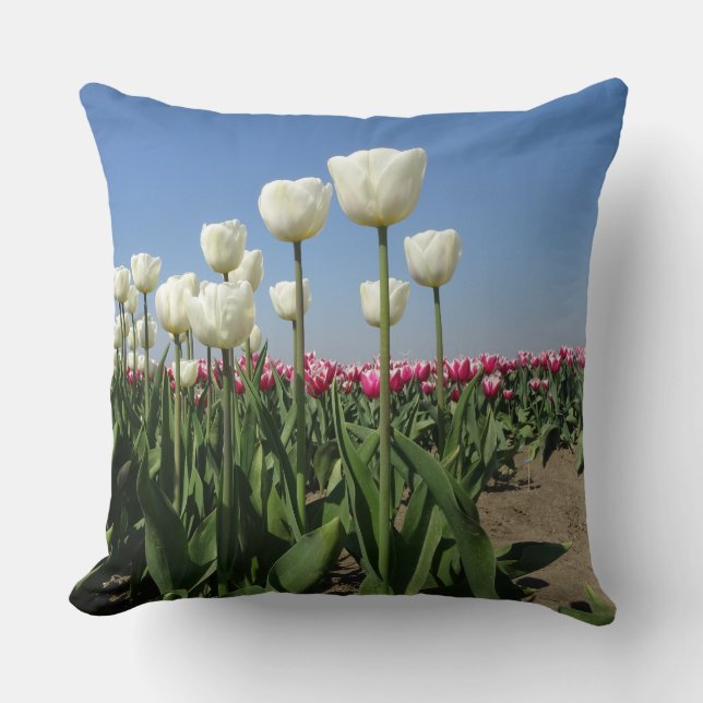 Vita och Rosa Tulips Fält Dekorativ kudde (Framsida)