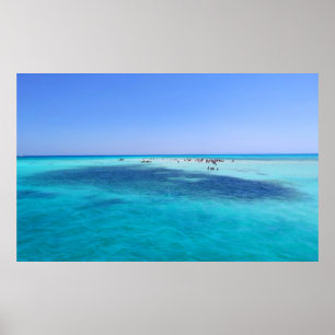 Vita ön i Röda havet Poster