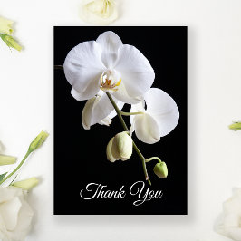 Vita orchid Flowers på svarta begravningssympati Tack Kort
