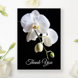 Vita orchid Flowers på svarta begravningssympati Tack Kort
