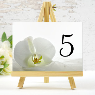 Vita Orchid och Möhippa Veil Bröllop Bordsnumren Bordsnummer