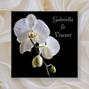 Vita Orchids på Svarta Bröllop Inbjudningar