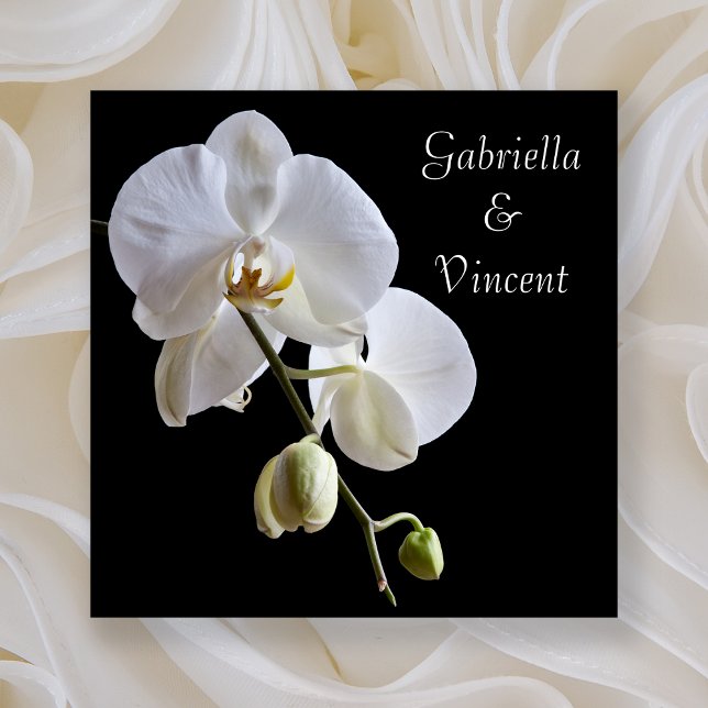 Vita Orchids på Svarta Bröllop Inbjudningar (Skapare uppladdad)