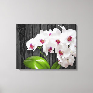 Vita Orchids på Wood Bark Canvastryck