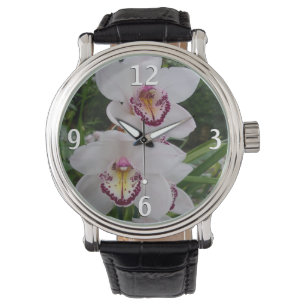 Vita orchids vackra tropiska blommor armbandsur