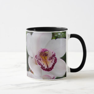 Vita orchids vackra tropiska blommor mugg