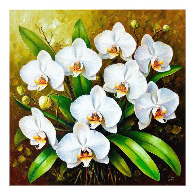 Vita orkidéer med gröna blad fototryck (Framsidan)
