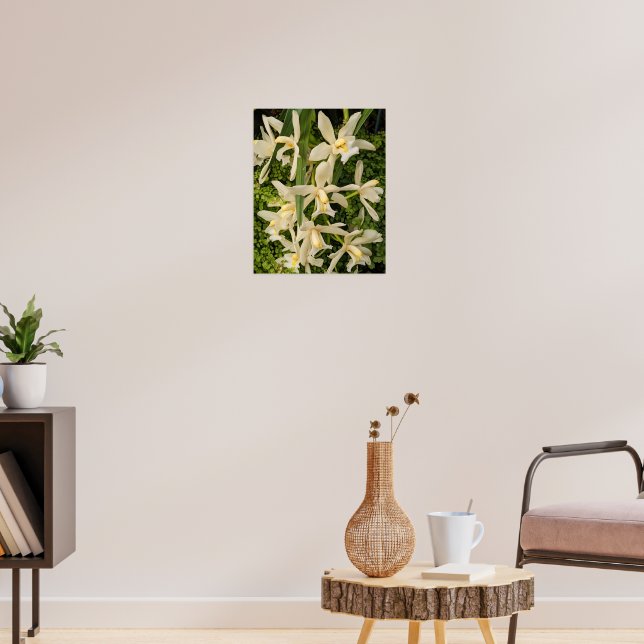 Vita orkidéer och ormbunksblommor poster (Vardagsrum 3)