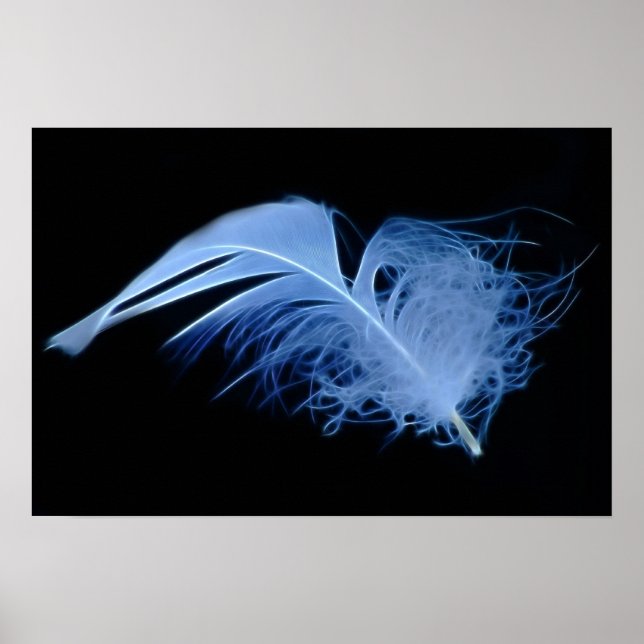 Vita örnfjädrar i svartvitt poster (Framsidan)