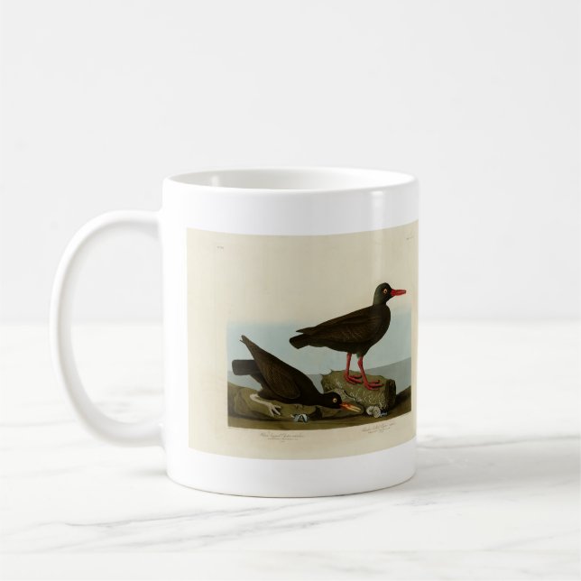 Vita ostron-catcher, Audubon Birds America Kaffemugg (Vänster)