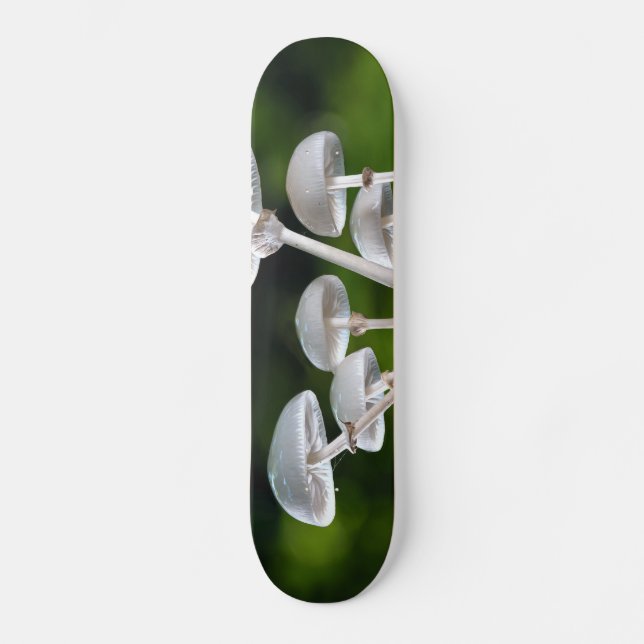 Vita ostron - höstsvampar mini skateboard bräda 18,5 cm (Framsida)