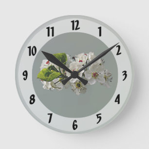 Vita päronblommor blommar rund klocka