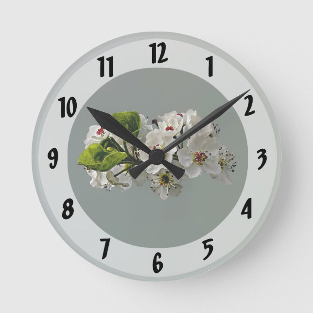 Vita päronblommor blommar rund klocka (Framsida)